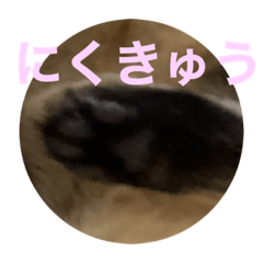 Suzu_20230722203218