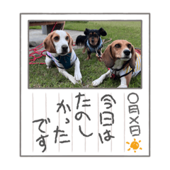 TOM+MORI_20230722191838