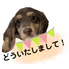 Sakura_20230723133019