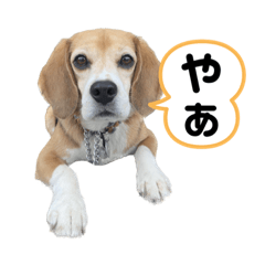 I'm Rick!_20230723132606