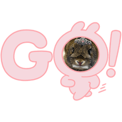 AOI_20230723134207