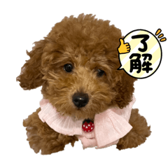 HANA_20230722232618
