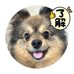 arisa_20230723143739