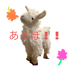 It is a sticker of my favorite alpaca