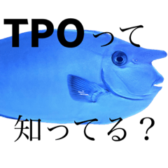 Yokko_20230724084303