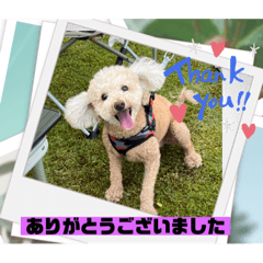 tsubaki_20230723183959