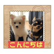 kumi_20230723185524