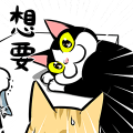 賓士貓Ohagi 13