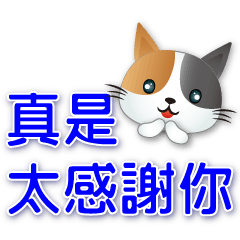 Cute Calico cats-big font-commonly used