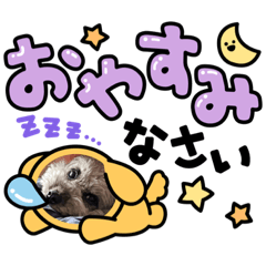 yuka_20230723203014