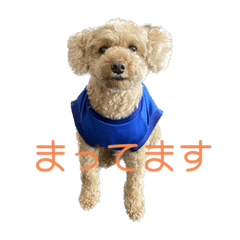 kana_20230723205518