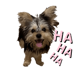 娜麼漂亮妮照鏡子了嗎