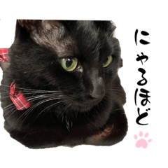 saori_20230723234743