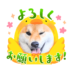 puku_20230723223252