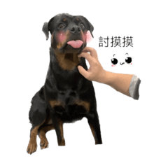 XUAN_20230723182645 – LINE stickers | LINE STORE