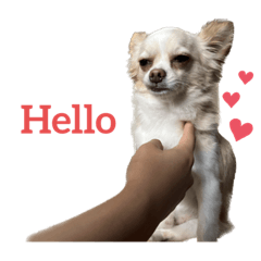 yukari_20230724000024