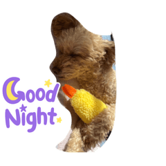 nao_20230724003333