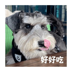 叭哺冰淇淋 •͈⌔•͈