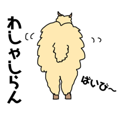 Alpaca's slow daily life