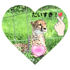 Yuka_20230720155234
