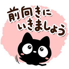 Very cute black cat104