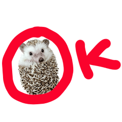 Araw-araw na Cute Healing Hedgehog-6