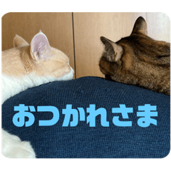 msk_20230724172350