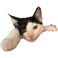 tarantino_20230724215415