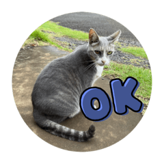 Natsumi_20230724231907