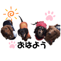 SAKURA_20230724232137