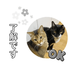 jack.hana_20230724230911