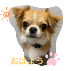 SAKURA_20230724235158