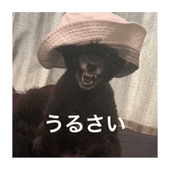 hiyori_20230725003436