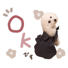 chisa_20230725145850