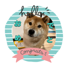 Sakura_20230725141551