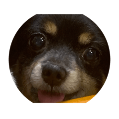 AM908_20230725144651