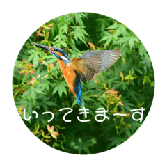 koji ushi jima_20230725151629