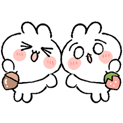 twin rabbit 1