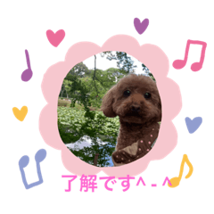 SAYURI_20230725175515