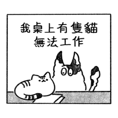 吸貓行政