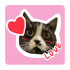 Family stuff C_20230725171929