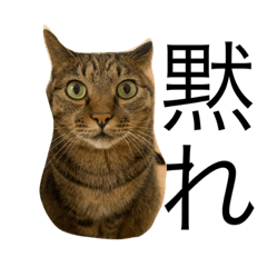 hanmakanma_20230725204605