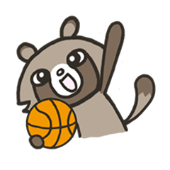 basketball raccoon