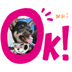 I’m 豆芽菜