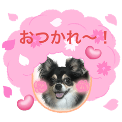 aoi_20230725221622