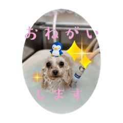 tomomi_20230726002316