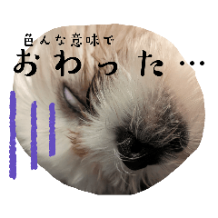 SMILE_20230726064241