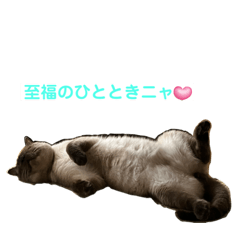 Rain_20230726133544
