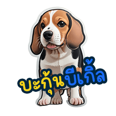 beaglecute