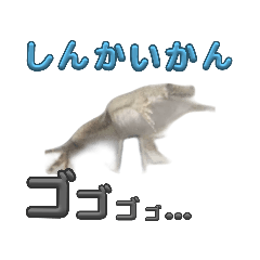 arutan_20230725223823